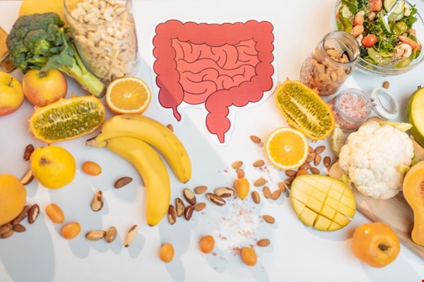 Hoe probiotica kan bijdragen aan een gezonde levensstijl voor het hele gezin Hoe probiotica kan bijdragen aan een gezonde levensstijl voor het hele gezin